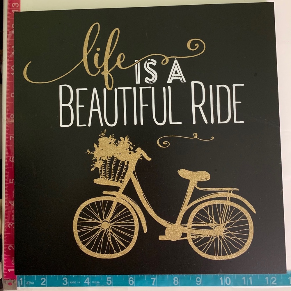 Bicycle art 12 x 12 pic & metal art bicycle 12”